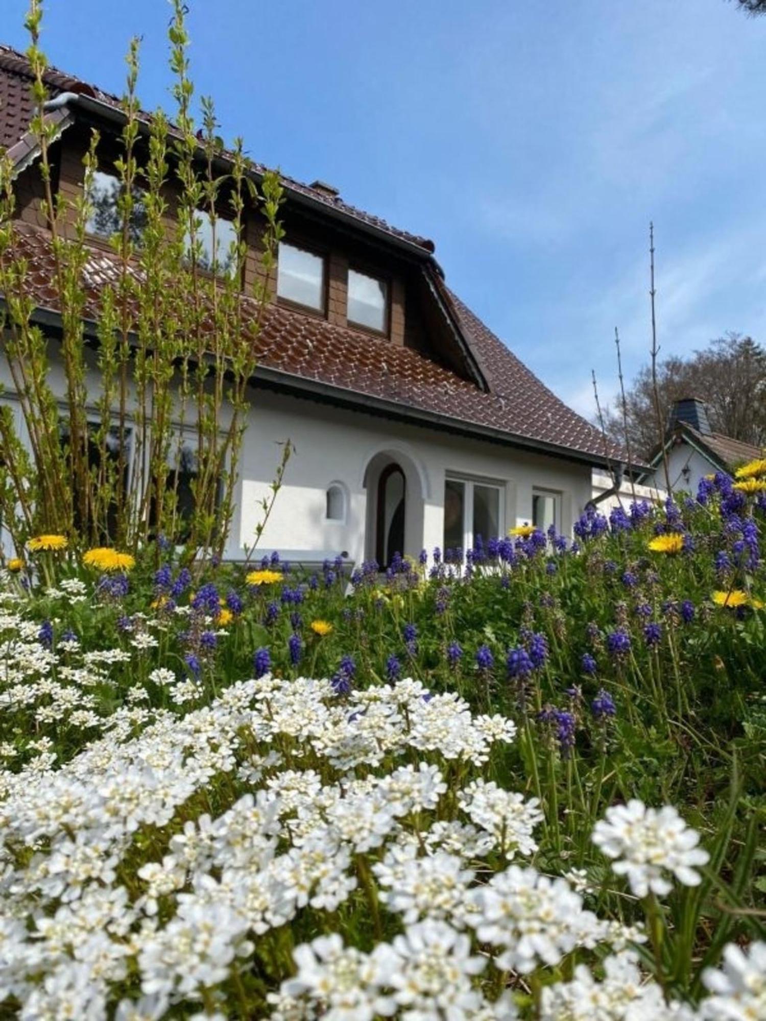 Ferienwohnung Eifelglueck Pelm Extérieur photo